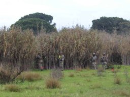 2025-06-01 THE GAME - OPERATION TRACKING DOG